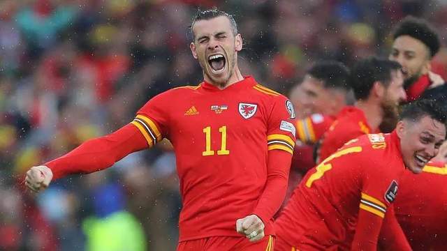 威尔士队发挥出色，全员配合赢得胜利的简单介绍
