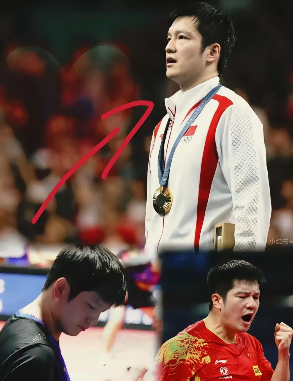 法国队险胜日本队，樊振东扛起全队