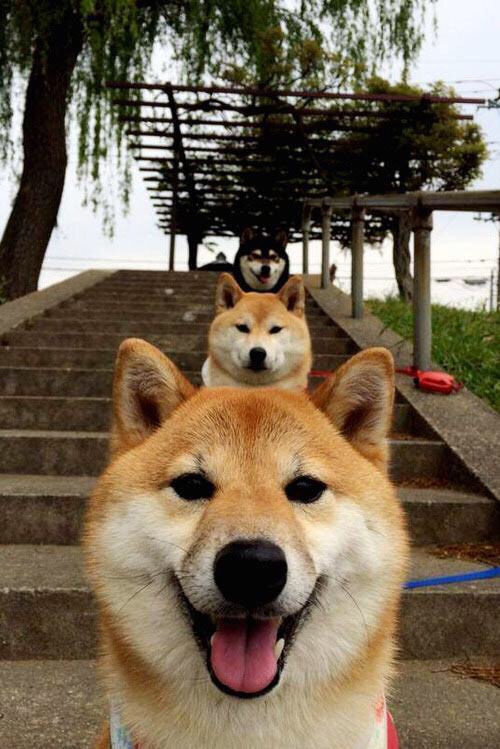 2026世界杯焦点战,当美国队斩落蓝军军团