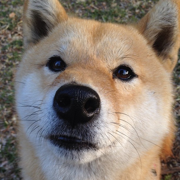 当广东队掀翻火箭遇上国家德比，跨界较量的精神共振