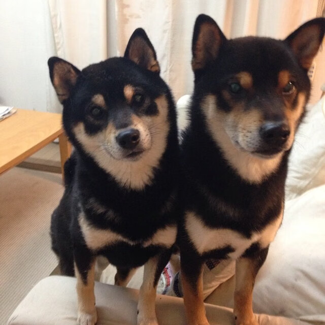 幻想与现实交织，当伊拉克在决赛中迎战马竞，久保建英的亚洲灯塔闪耀全场