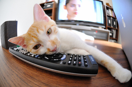 终极信任与窒息死守,库里国家德比妙传制胜与广东队加时封锁奇才的唯一密码