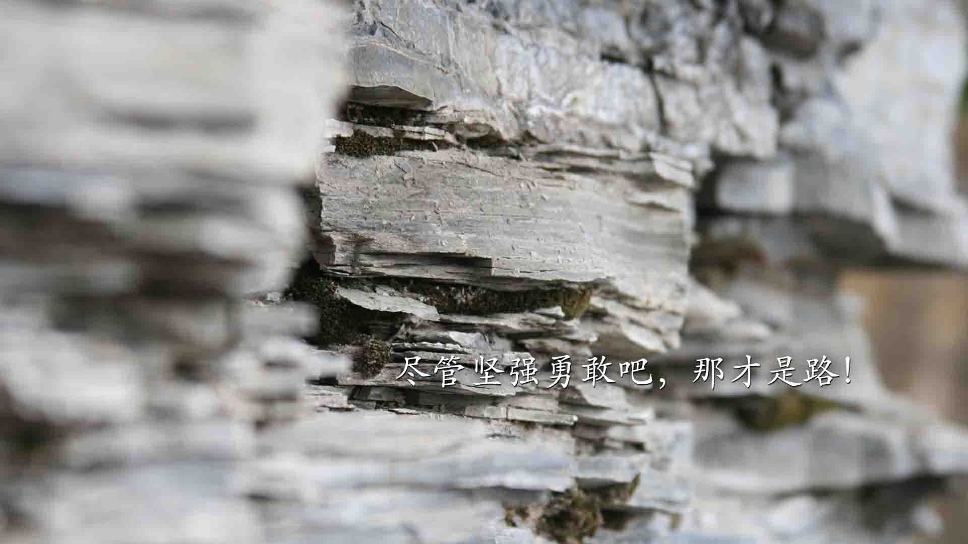 雷火电竞网址-冲垮铁壁！阿尔及利亚沙漠风暴席卷贝蒂斯，基耶萨绝境中化身定海神针