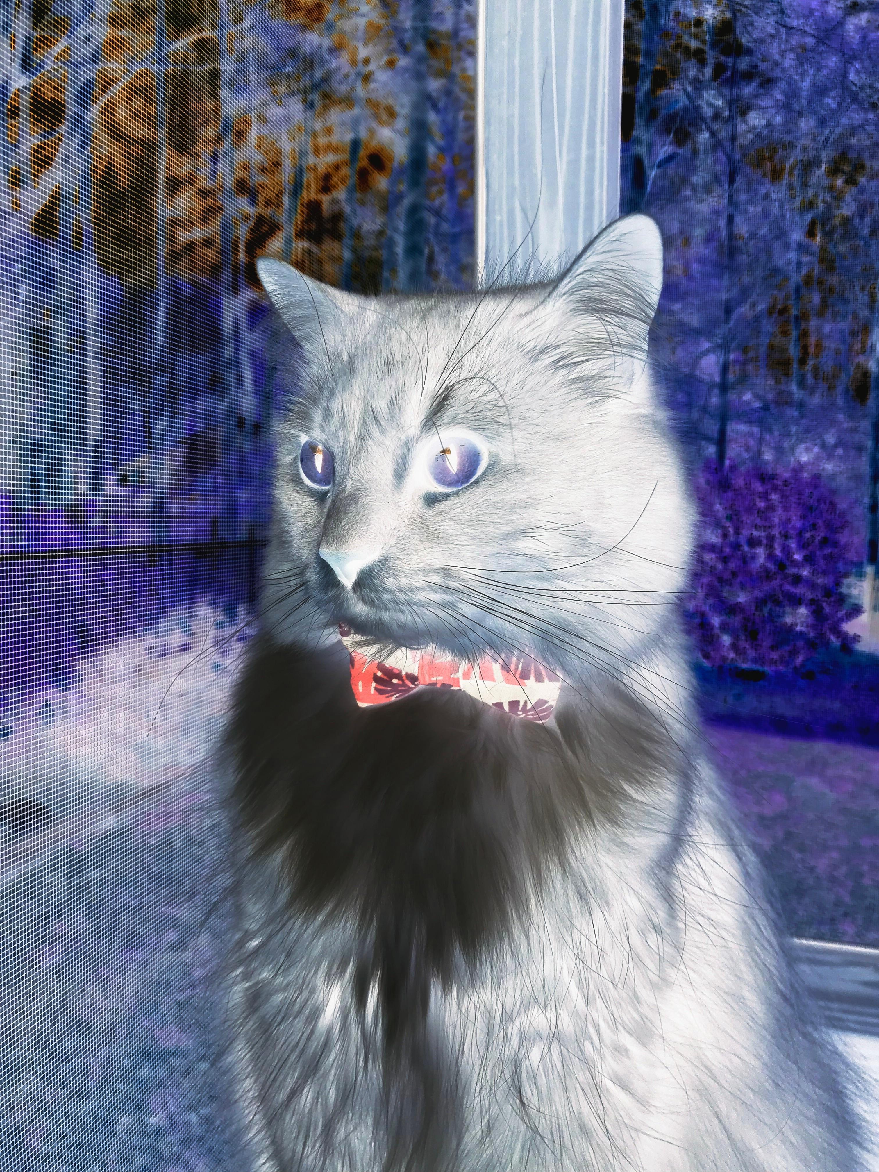 虚拟对决,当东方霸主遭遇字母哥,保罗的8分钟改变篮球宇宙