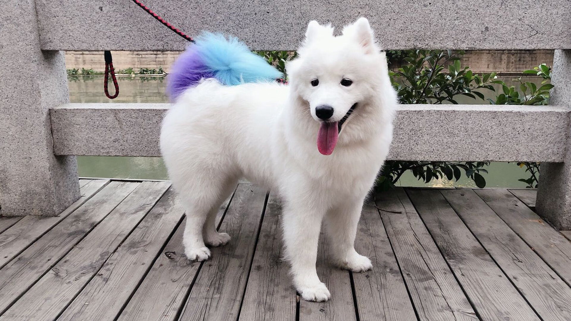 流星只为一夜璀璨，当哈登的完美定义欧冠淘汰赛