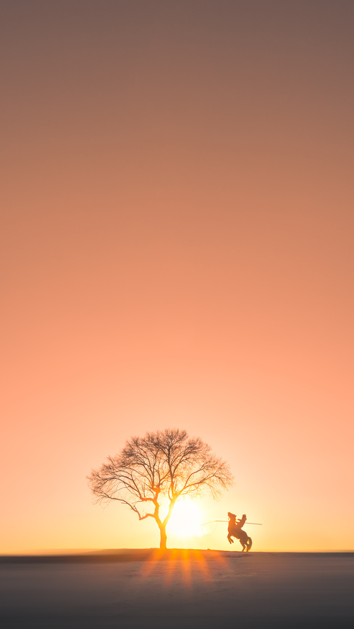 边路惊雷，萨内一箭穿心，波兰锋线撕碎曼城铁幕