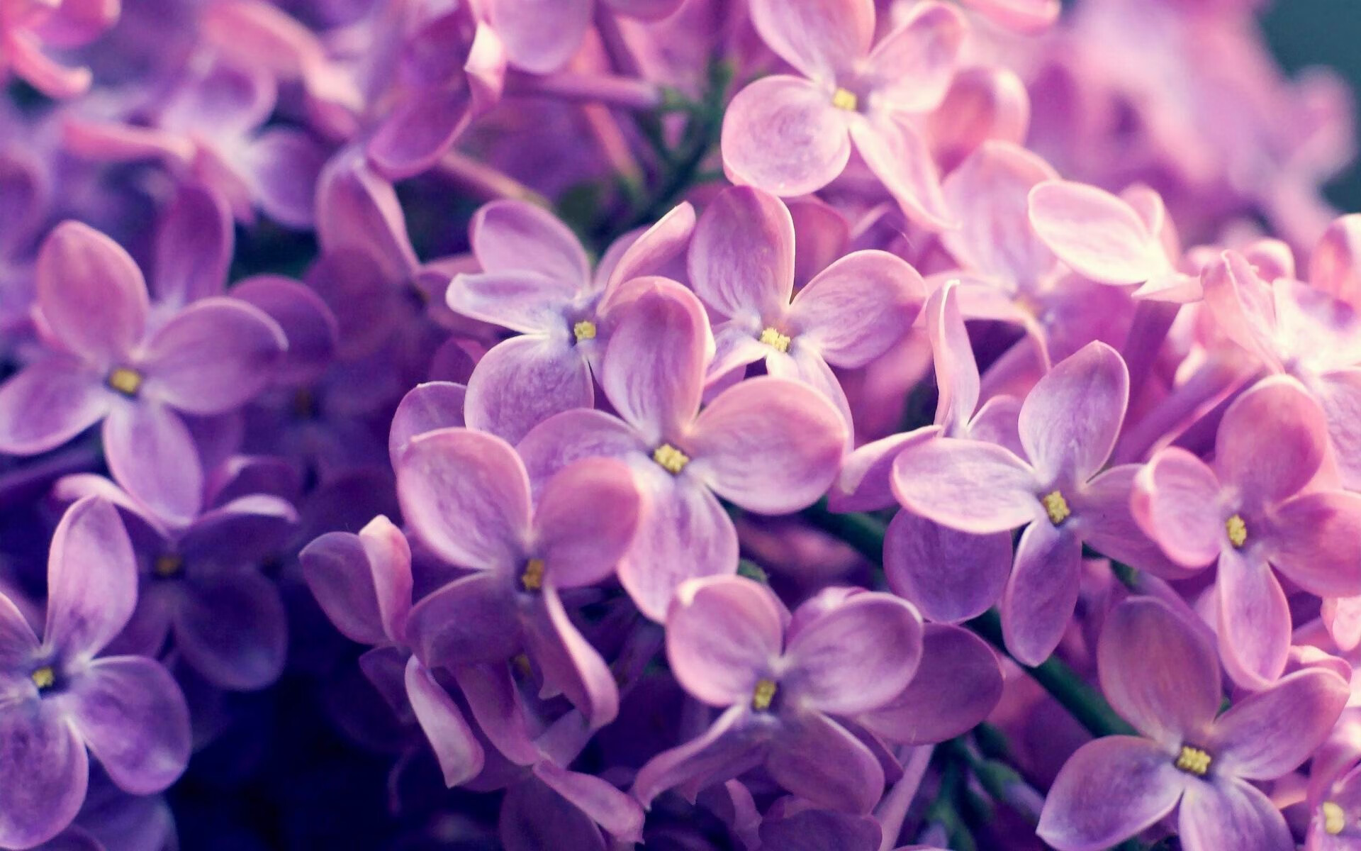 格纳布里百球里程碑！冰与火之歌响彻尤文新阿尔卑球场