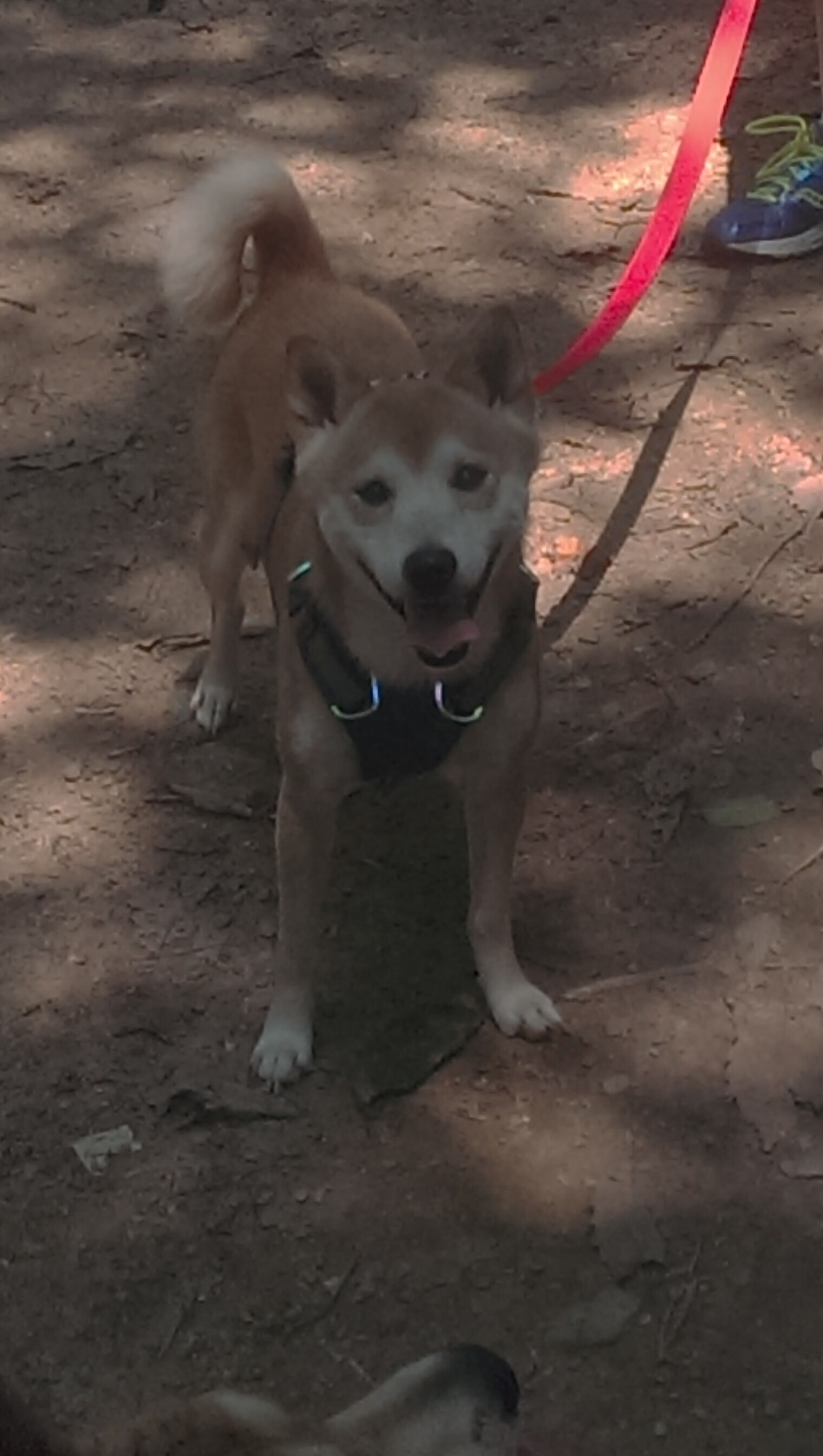 雷火电竞亚洲先驱-冰与火之歌，西甲德比的烈焰与芬兰逆转的寒冰