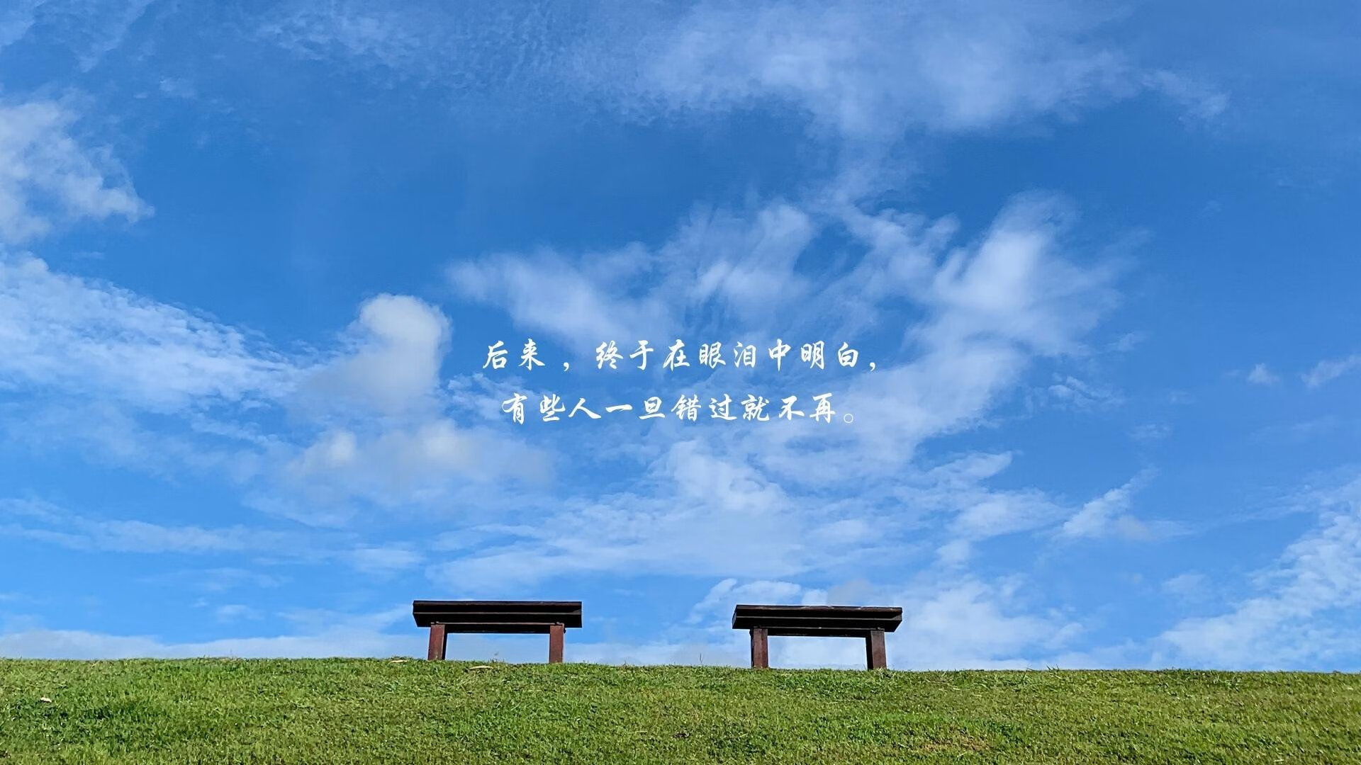 唯一焦点,卢卡库的霸王美学与北欧极光的黯然熄灭—论美加墨世界杯预选赛丹麦如何以碾压之势导演剧本