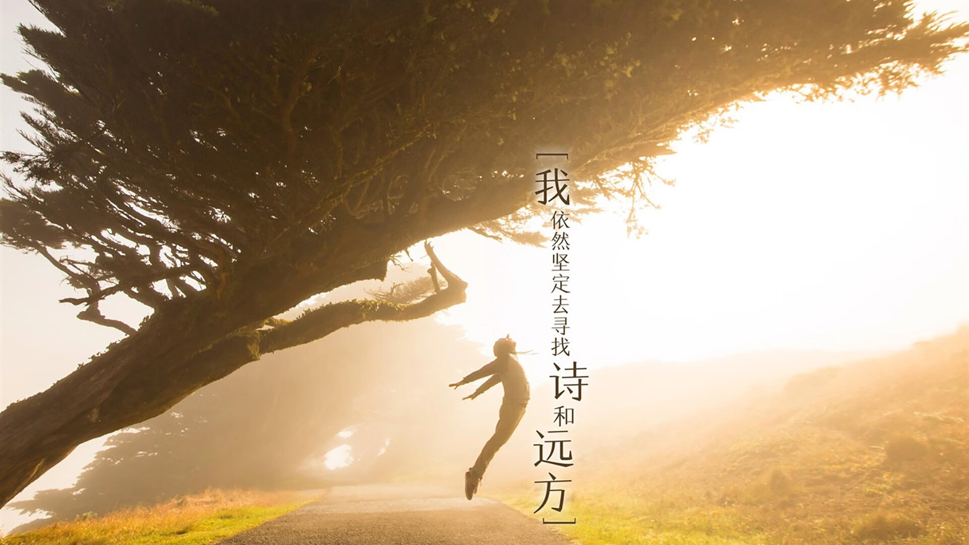沙漠风暴席卷北美雄狮，2026世界杯D组，阿联酋如何用内马尔魔法完成对哥斯达黎加的全方位压制